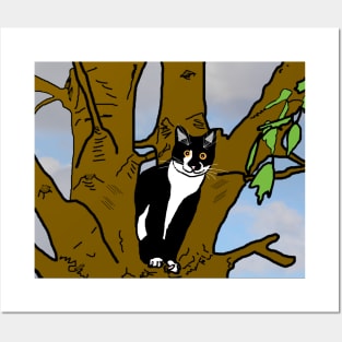 Cute Tuxedo Cat sitting in the tree  Copyright TeAnne Posters and Art